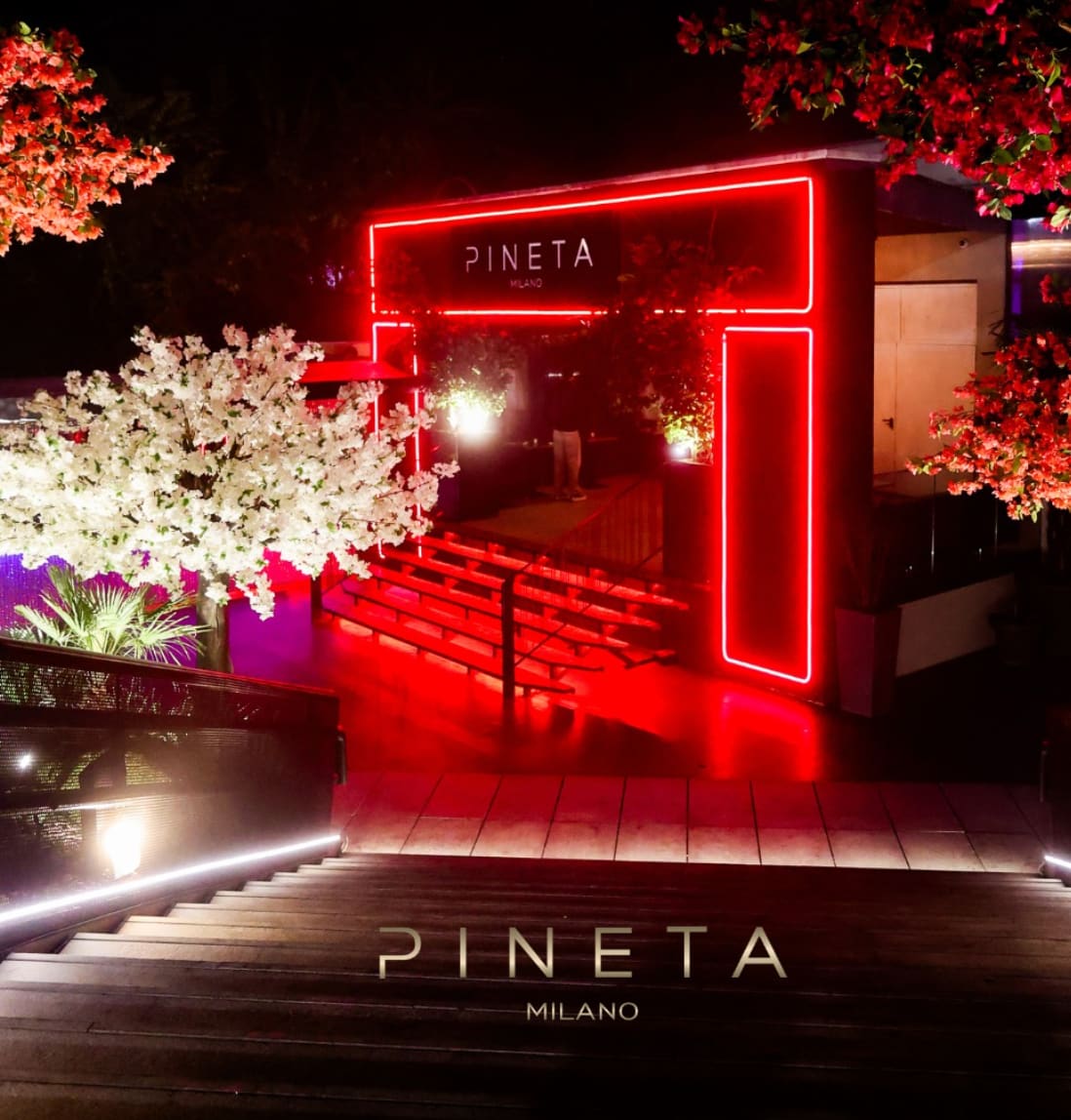 Pineta