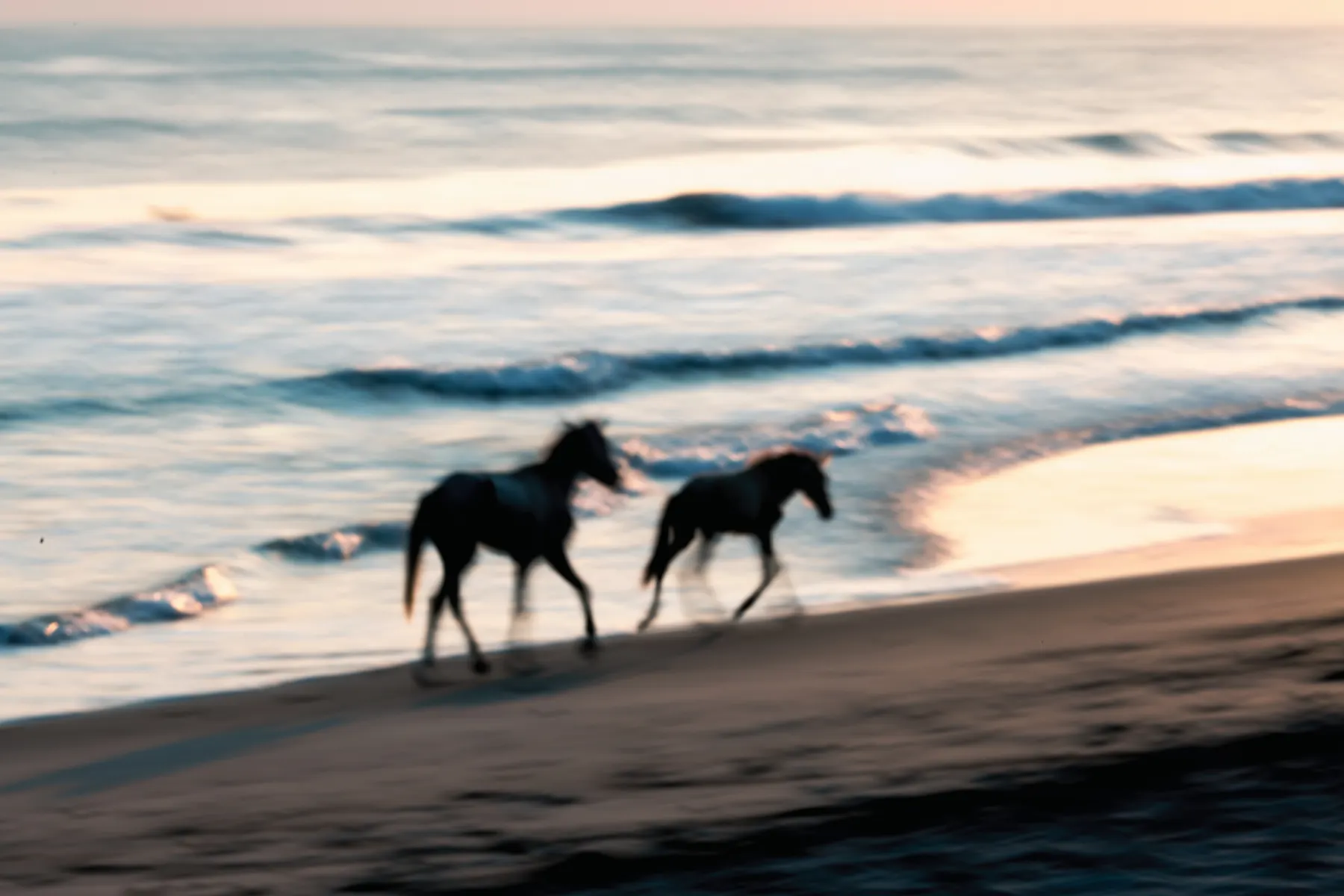 Dos caballos corriendo entre las olas al atardecer
