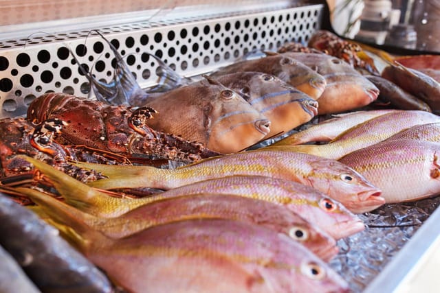 Fish Corner, foto 5
