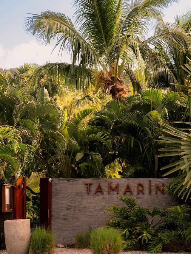 Le Tamarin, foto 5
