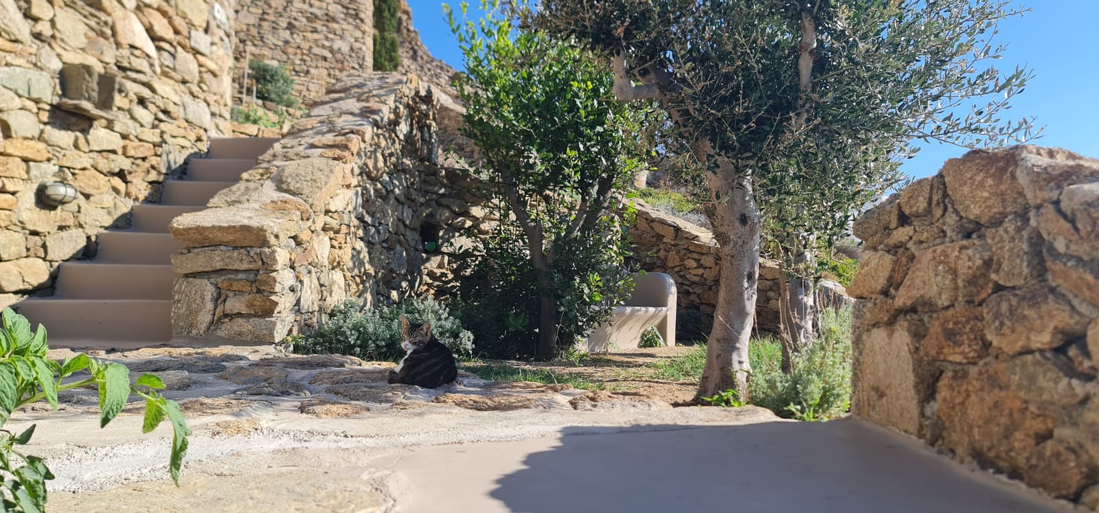 Straus Villa, foto 10