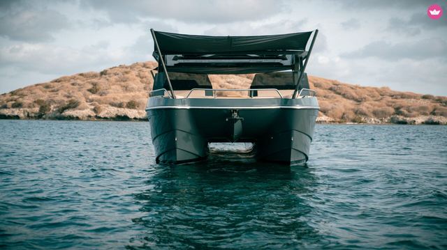 Tesoro T41 Power Cat