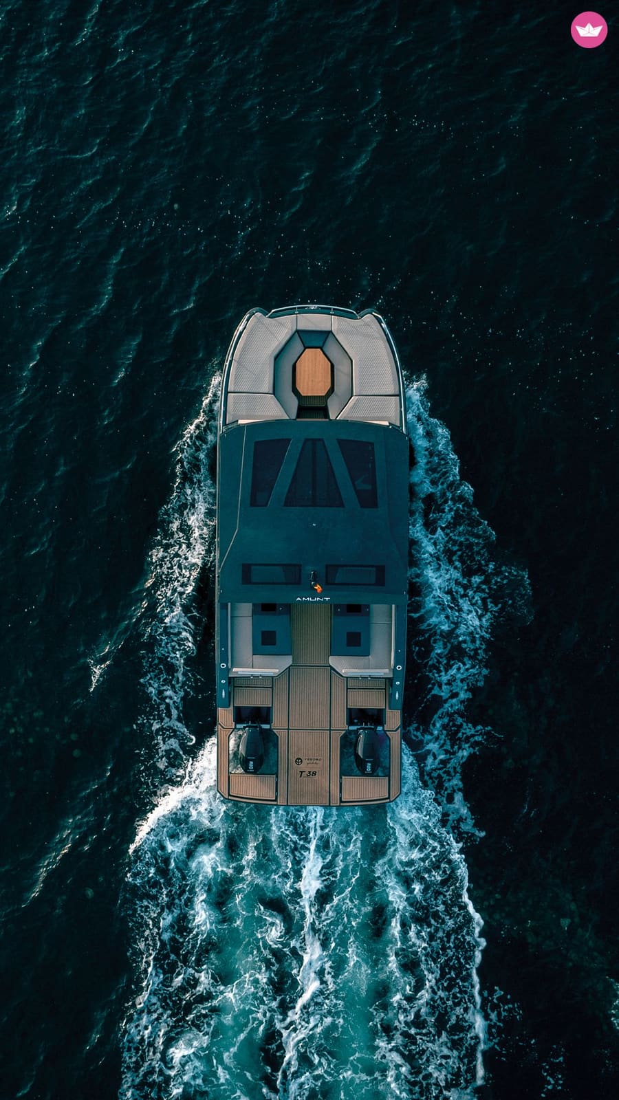 Tesoro T41 Power Cat, foto 13